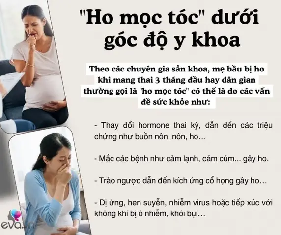 Ho Mọc Tóc Khi Mang Thai: Nguyên Nhân, Triệu Chứng Và Cách Giảm Ho Hiệu Quả