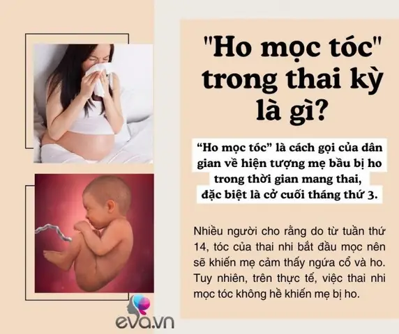 Ho Mọc Tóc Khi Mang Thai Kéo Dài Bao Lâu? Nguyên Nhân Và Cách Xử Lý Ho Mọc Tóc Khi Mang Thai Kéo Dài Bao Lâu? Nguyên Nhân Và Cách Xử Lý