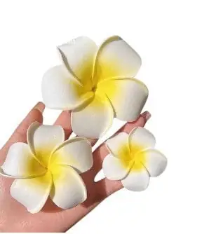 Hoa Sứ Trắng Cài Tóc: Hướng Dẫn Chọn Lựa, Phối Đồ & Nơi Mua Chuẩn Trend