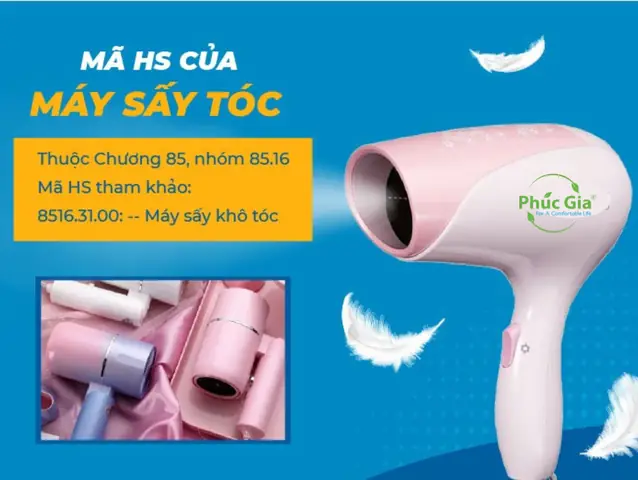 Mã Hs Máy Sấy Tóc 8516.31.00: Hướng Dẫn Chi Tiết Thủ Tục & Thuế Nhập Khẩu Mã Hs Máy Sấy Tóc 8516.31.00: Hướng Dẫn Chi Tiết Thủ Tục & Thuế Nhập Khẩu