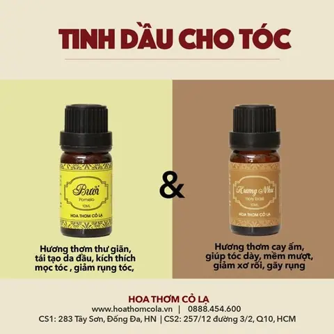 Hương Nhu Trị Rụng Tóc: Bí Quyết Dưỡng Tóc Chắc Khỏe Tự Nhiên