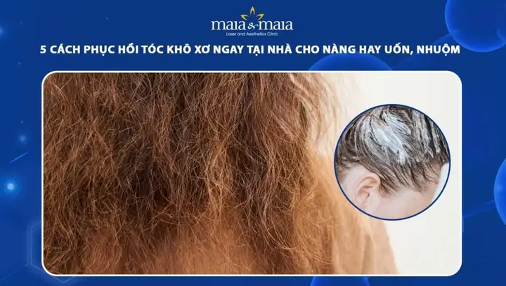 9+ Cách Phục Hồi Tóc Khô Xơ Hiệu Quả Tại Nhà Bí Quyết Tóc Mềm Mượt 9+ Cách Phục Hồi Tóc Khô Xơ Hiệu Quả Tại Nhà Bí Quyết Tóc Mềm Mượt