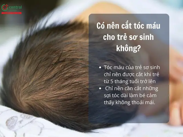 Khi Nào Nên Cắt Tóc Máu Cho Trẻ Sơ Sinh? Hướng Dẫn Chi Tiết Theo Quan Niệm Dân Gian & Khoa Học Khi Nào Nên Cắt Tóc Máu Cho Trẻ Sơ Sinh? Hướng Dẫn Chi Tiết Theo Quan Niệm Dân Gian & Khoa Học