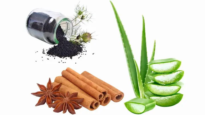 Bí Quyết Kích Thích Mọc Tóc Tự Nhiên: Hướng Dẫn Chi Tiết Từ Chuyên Gia Bí Quyết Kích Thích Mọc Tóc Tự Nhiên: Hướng Dẫn Chi Tiết Từ Chuyên Gia