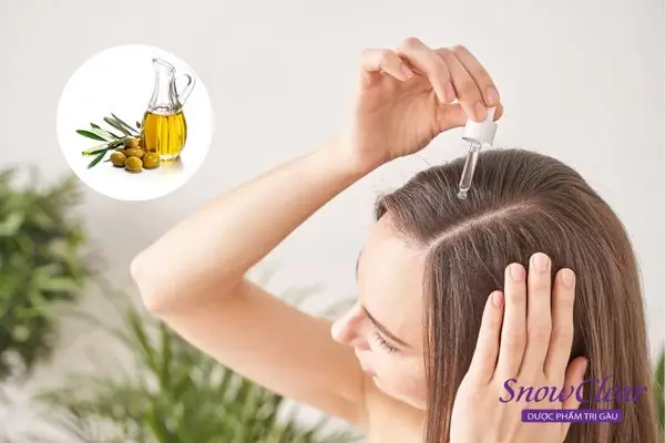 Làm Mượt Tóc Bằng Dầu Oliu: Bí Quyết Tóc Óng Mượt Tự Nhiên Tại Nhà Làm Mượt Tóc Bằng Dầu Oliu: Bí Quyết Tóc Óng Mượt Tự Nhiên Tại Nhà