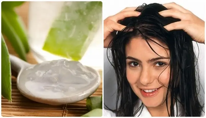 Cách Làm Mượt Tóc Bằng Nha Đam: Hướng Dẫn Chi Tiết & Công Thức Hiệu Quả Tại Nhà Cách Làm Mượt Tóc Bằng Nha Đam: Hướng Dẫn Chi Tiết & Công Thức Hiệu Quả Tại Nhà