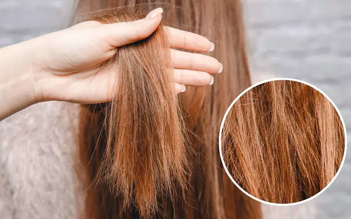 Bí Quyết Tóc Mềm Mượt: 7+ Cách Cứu Vãn Tóc Khô Cứng Hiệu Quả Tại Nhà Bí Quyết Tóc Mềm Mượt: 7+ Cách Cứu Vãn Tóc Khô Cứng Hiệu Quả Tại Nhà