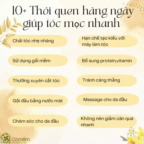 Bí Quyết Vàng: Làm Sao Để Tóc Mọc Nhiều, Dày & Chắc Khỏe Từ Gốc Đến Ngọn