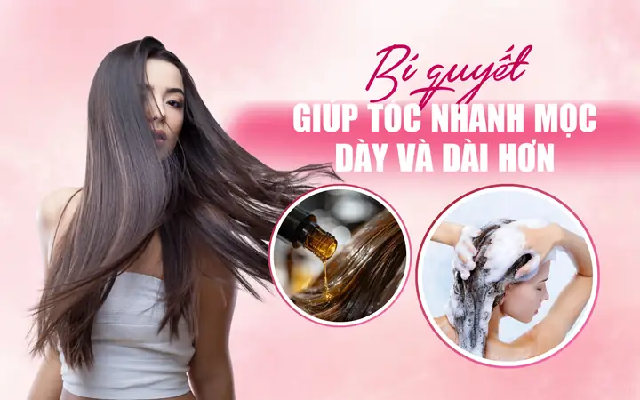 Bí Quyết Giúp Tóc Mọc Nhiều Và Dày Nhanh Chóng, Tự Nhiên Tại Nhà Bí Quyết Giúp Tóc Mọc Nhiều Và Dày Nhanh Chóng, Tự Nhiên Tại Nhà
