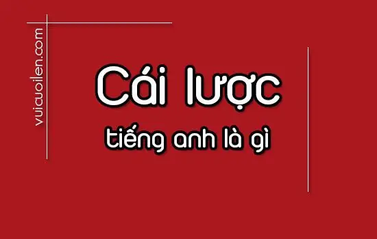 Lược Chải Tóc Tiếng Anh Là Gì? Phân Biệt "comb" Và "hairbrush" Chính Xác Nhất