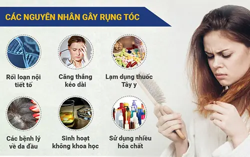 Lý Do Tóc Rụng Nhiều: Nguyên Nhân Sâu Xa Và Giải Pháp Toàn Diện