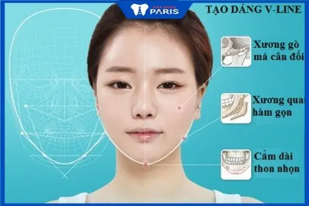 Mặt V Line Nên Để Tóc Gì? Tóc Hợp Mặt V Line Cho Nam & Nữ Chuẩn Đẹp Mặt V Line Nên Để Tóc Gì? Tóc Hợp Mặt V Line Cho Nam & Nữ Chuẩn Đẹp