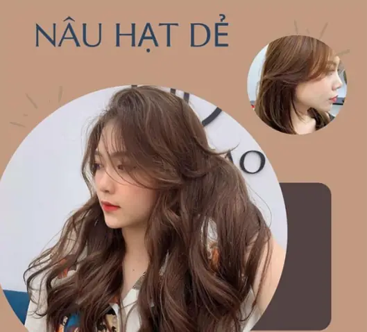 Top 10+ Màu Tóc Nâu Đậm Quyến Rũ, Tôn Da Nhất 2026 Bạn Nên Thử