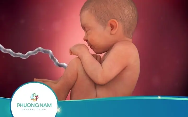 Bao Lâu Thì Thai Nhi Mọc Tóc Và Mẹ Bầu Bị Ho Có Đúng Không? Bao Lâu Thì Thai Nhi Mọc Tóc Và Mẹ Bầu Bị Ho Có Đúng Không?