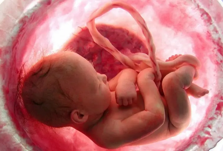 Bao Lâu Thì Thai Nhi Mọc Tóc Và Mẹ Bầu Bị Ho Có Đúng Không? Bao Lâu Thì Thai Nhi Mọc Tóc Và Mẹ Bầu Bị Ho Có Đúng Không?