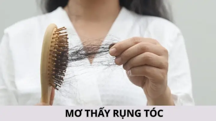 Mơ Thấy Chải Đầu Rụng Tóc: Giải Mã Điềm Báo Tình Duyên, Sự Nghiệp & Con Số May Mắn Mơ Thấy Chải Đầu Rụng Tóc: Giải Mã Điềm Báo Tình Duyên, Sự Nghiệp & Con Số May Mắn
