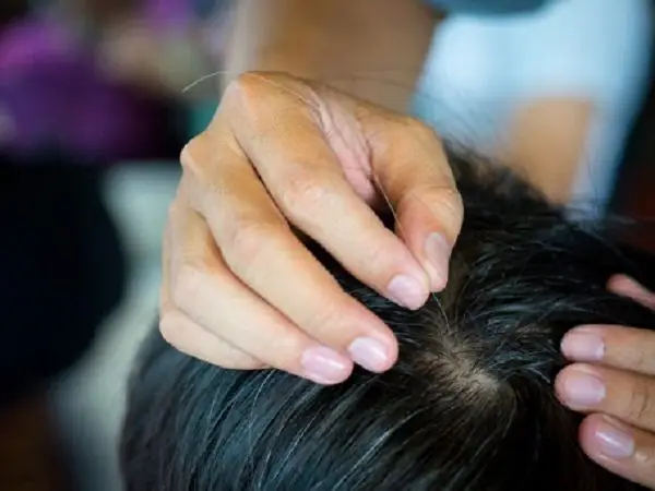 Giải Mã Giấc Mơ Thấy Nhổ Tóc Bạc Cho Người Khác: Điềm Báo, Ý Nghĩa Và Con Số May Mắn Giải Mã Giấc Mơ Thấy Nhổ Tóc Bạc Cho Người Khác: Điềm Báo, Ý Nghĩa Và Con Số May Mắn