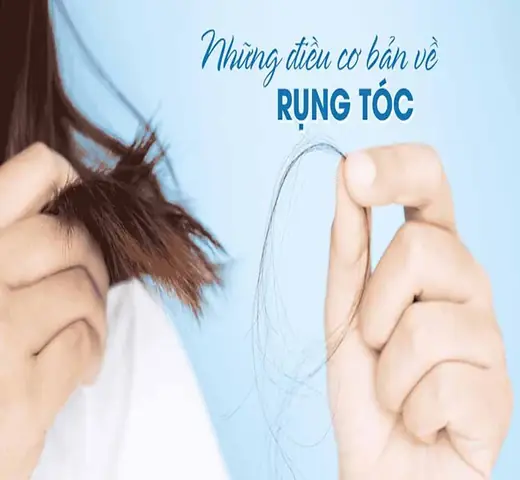 Một Người Bình Thường Có Bao Nhiêu Sợi Tóc? Giải Đáp Thắc Mắc & Lưu Ý Chăm Sóc Tóc