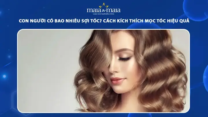 Một Người Bình Thường Có Bao Nhiêu Sợi Tóc? Giải Đáp Thắc Mắc & Lưu Ý Chăm Sóc Tóc