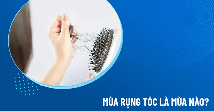 Mùa Nào Tóc Rụng Nhiều Nhất? Nguyên Nhân & Cách Chăm Sóc Tóc Hiệu Quả