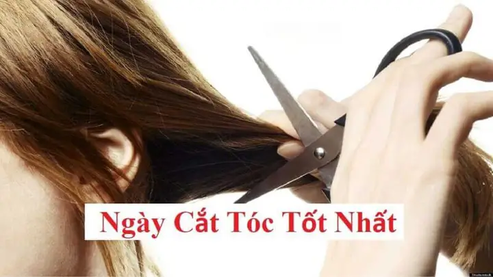 Mùng 3 Cắt Tóc Được Không? Giải Đáp Quan Niệm & Ngày Tốt Theo Chuyên Gia