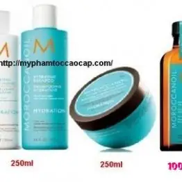 Mỹ Phẩm Tóc Cao Cấp Chính Hãng: Bí Quyết Sở Hữu Mái Tóc Chắc Khỏe, Óng Mượt