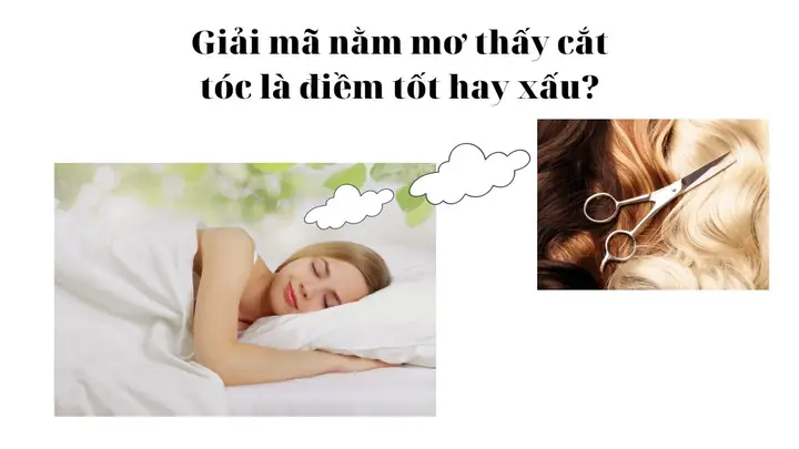Nằm Mơ Thấy Hớt Tóc Đánh Con Gì? Giải Mã Điềm Báo May Rủi