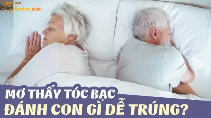 Nằm Mơ Thấy Tóc Bạc Đánh Số Gì: Giải Mã Giấc Mơ Toàn Diện & Con Số May Mắn Nằm Mơ Thấy Tóc Bạc Đánh Số Gì: Giải Mã Giấc Mơ Toàn Diện & Con Số May Mắn