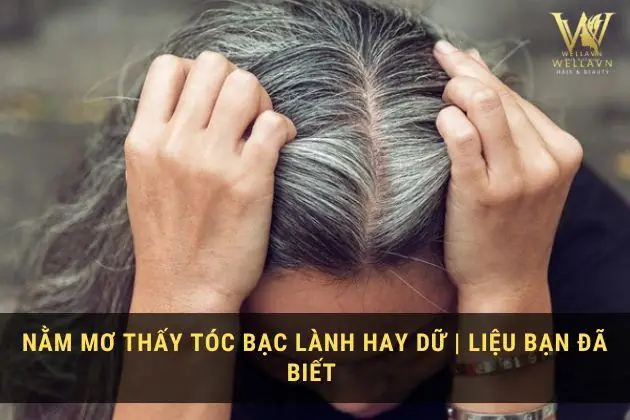 Nằm Mơ Thấy Tóc Bạc Trắng Là Điềm Gì? Giải Mã Giấc Mơ & Con Số May Mắn Nằm Mơ Thấy Tóc Bạc Trắng Là Điềm Gì? Giải Mã Giấc Mơ & Con Số May Mắn