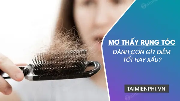 Giải Mã Giấc Mơ Vuốt Tóc Rụng: Điềm Báo Sức Khỏe, Tình Cảm Và Con Số May Mắn