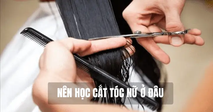 Nên Học Cắt Tóc Ở Đâu Hà Nội: Top Địa Chỉ Uy Tín & Chuyên Nghiệp Nhất 2026