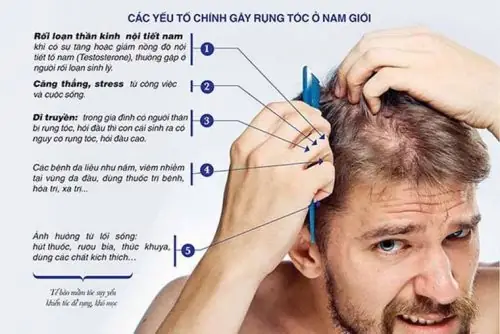 Nguyên Nhân Gây Rụng Tóc: Hiểu Đúng Và Khắc Phục Hiệu Quả