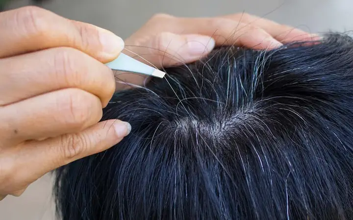 Nguyên Nhân Tóc Bạc Sớm: Giải Mã Lý Do & Bí Quyết Phục Hồi Tóc Đen Mượt