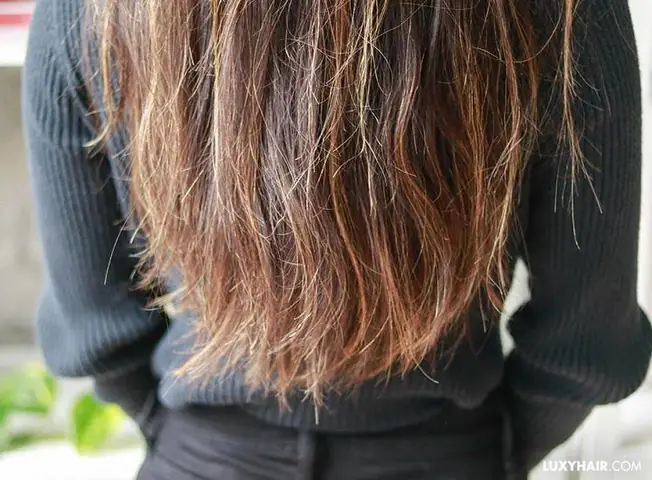 Nguyên Nhân Tóc Chẻ Ngọn: Giải Đáp Toàn Diện & Bí Quyết Phục Hồi Hiệu Quả