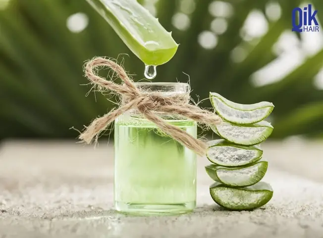 Nha Đam Giúp Tóc Mọc Nhanh: Bí Quyết Phục Hồi & Dưỡng Tóc Chắc Khỏe Từ Thiên Nhiên Nha Đam Giúp Tóc Mọc Nhanh: Bí Quyết Phục Hồi & Dưỡng Tóc Chắc Khỏe Từ Thiên Nhiên