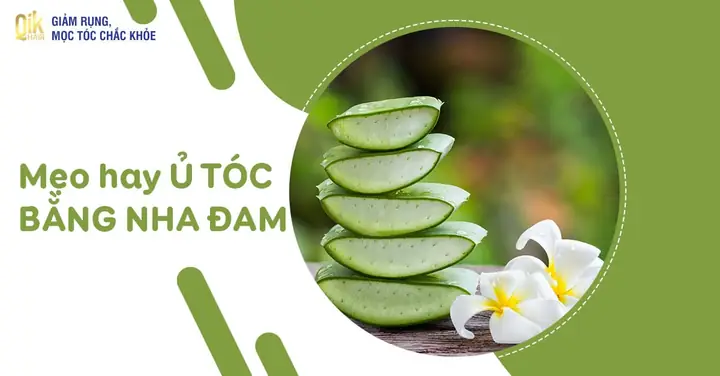Nha Đam Giúp Tóc Mọc Nhanh: Bí Quyết Phục Hồi & Dưỡng Tóc Chắc Khỏe Từ Thiên Nhiên Nha Đam Giúp Tóc Mọc Nhanh: Bí Quyết Phục Hồi & Dưỡng Tóc Chắc Khỏe Từ Thiên Nhiên