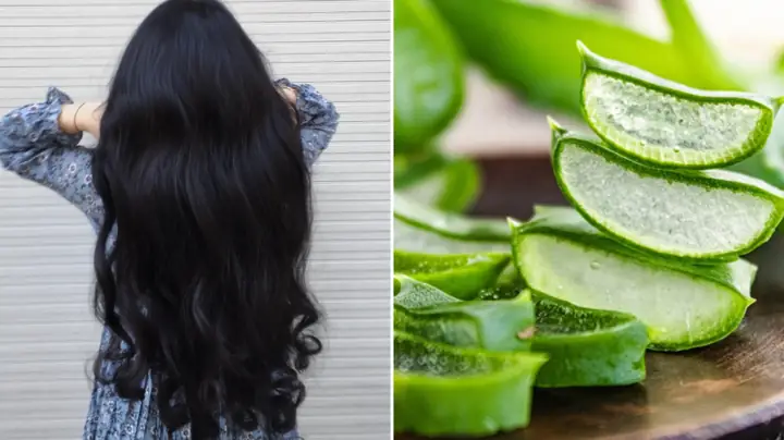 Nha Đam Giúp Tóc Mọc Nhanh: Bí Quyết Phục Hồi & Dưỡng Tóc Chắc Khỏe Từ Thiên Nhiên Nha Đam Giúp Tóc Mọc Nhanh: Bí Quyết Phục Hồi & Dưỡng Tóc Chắc Khỏe Từ Thiên Nhiên