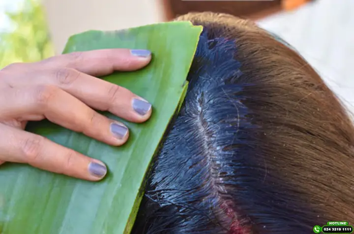 Nha Đam Giúp Tóc Mọc Nhanh: Bí Quyết Phục Hồi & Dưỡng Tóc Chắc Khỏe Từ Thiên Nhiên Nha Đam Giúp Tóc Mọc Nhanh: Bí Quyết Phục Hồi & Dưỡng Tóc Chắc Khỏe Từ Thiên Nhiên