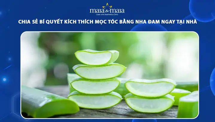 Nha Đam Giúp Tóc Mọc Nhanh: Bí Quyết Phục Hồi & Dưỡng Tóc Chắc Khỏe Từ Thiên Nhiên Nha Đam Giúp Tóc Mọc Nhanh: Bí Quyết Phục Hồi & Dưỡng Tóc Chắc Khỏe Từ Thiên Nhiên