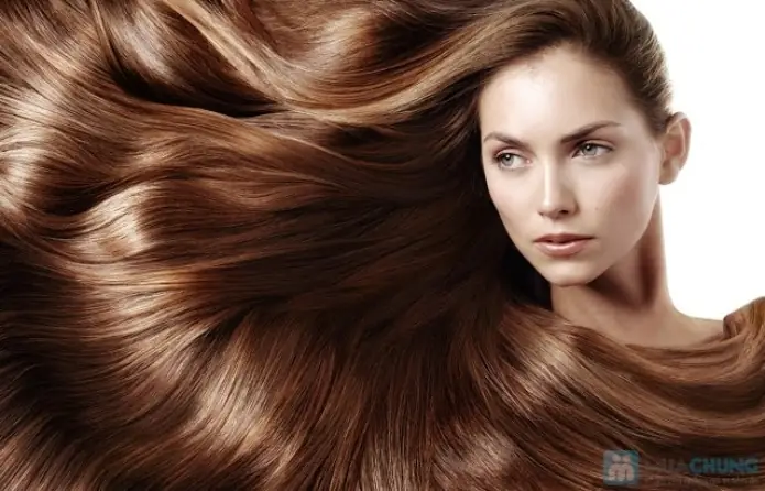 Những Nhà Tạo Mẫu Tóc Nổi Tiếng Thế Giới: Tiêu Chuẩn Vàng Của Nghệ Thuật Tóc