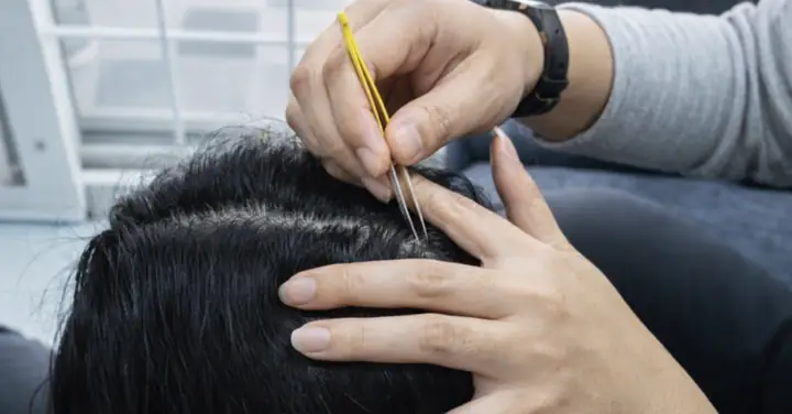 Nhổ Tóc Bạc Tiếng Anh Là Gì? Từ Vựng Và Cách Diễn Đạt Chuẩn Xác