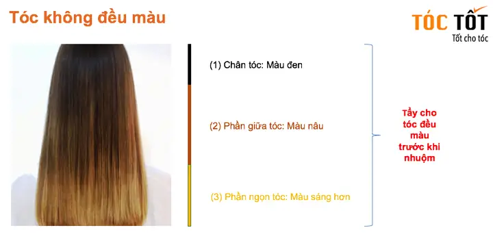 Nhuộm Chân Tóc Khác Màu: Bí Quyết Che Lấp Hiệu Quả, Tự Tin Tỏa Sáng Nhuộm Chân Tóc Khác Màu: Bí Quyết Che Lấp Hiệu Quả, Tự Tin Tỏa Sáng