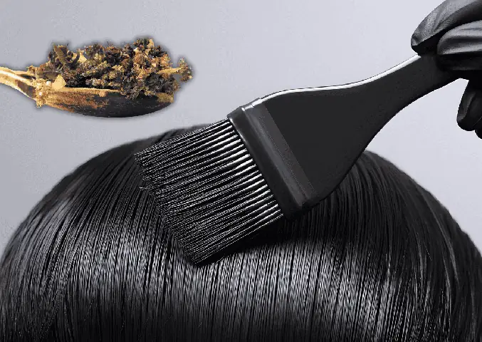 Nhuộm Tóc Thảo Dược Có Hại Không? Sự Thật Và Lưu Ý An Toàn
