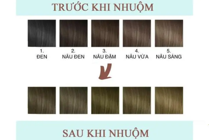 Hướng Dẫn Đầy Đủ: Nhuộm Tóc Cần Những Gì Để Lên Màu Chuẩn Tại Nhà Hướng Dẫn Đầy Đủ: Nhuộm Tóc Cần Những Gì Để Lên Màu Chuẩn Tại Nhà