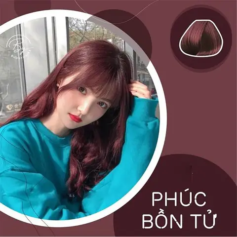 Nhuộm Tóc Màu Việt Quất: Bí Quyết Đẹp Từ A-z Cho Mọi Làn Da