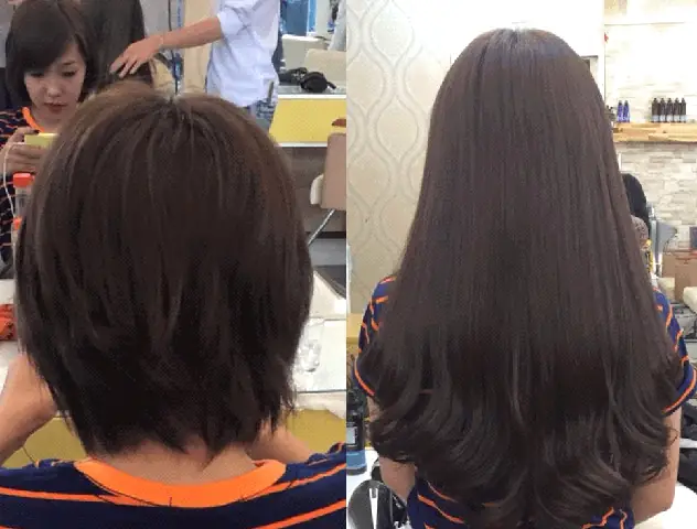 Cách Gội Đầu Đúng Cách Cho Tóc Nối Để Duy Trì Vẻ Đẹp Lâu Dài Cách Gội Đầu Đúng Cách Cho Tóc Nối Để Duy Trì Vẻ Đẹp Lâu Dài