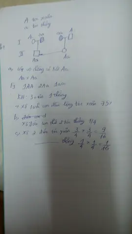 Đặc Điểm Di Truyền Kiểu Tóc Ở Người: Gen, Alen Và Cơ Chế Di Truyền