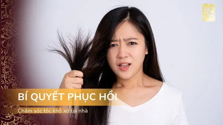 Cách Phục Hồi Tóc Khô Xơ Tại Nhà Hiệu Quả & Tự Nhiên Cách Phục Hồi Tóc Khô Xơ Tại Nhà Hiệu Quả & Tự Nhiên