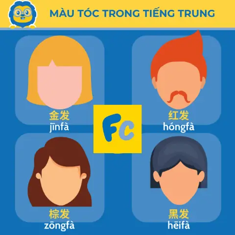 Rụng Tóc Tiếng Trung Là Gì? Từ Vựng & Giải Pháp Toàn Diện Cho Tóc Khỏe Rụng Tóc Tiếng Trung Là Gì? Từ Vựng & Giải Pháp Toàn Diện Cho Tóc Khỏe