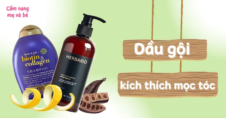 Top Sản Phẩm Kích Thích Mọc Tóc Hiệu Quả: Lựa Chọn Thông Minh Cho Mái Tóc Dày Bồng Bềnh